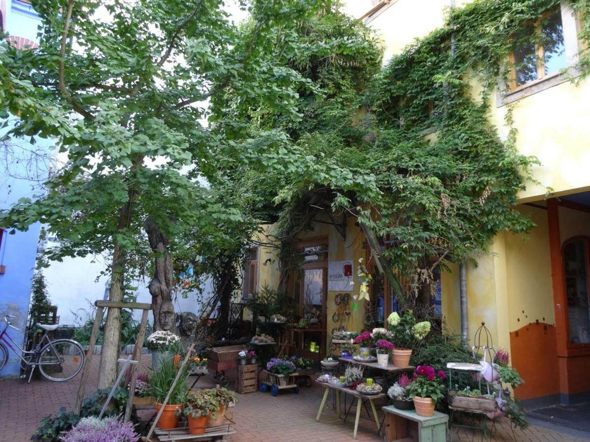 Apartament Kunsthofperle Drezno Zewnętrze zdjęcie